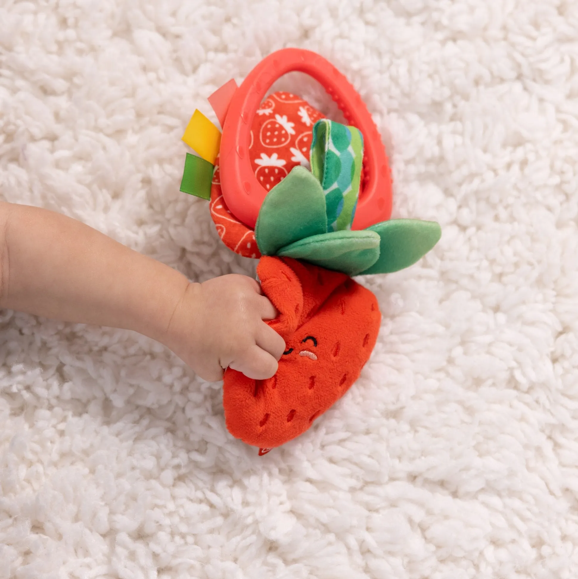 Peek-a-Boo Berry Take-Along Toy